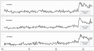 Did the COVID-19 Pandemic Spark a Public Interest in Pet Adoption?